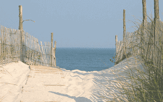 forest beach real estate,forest beach hilton head real estate,north forest beach real estate,south forest beach real estate,forest beach house,forest beach hilton head,forest beach,houses for sale forest beach,beach forest homes,forest beach homes for sale,north forest beach homes for sale,south forest beach homes for sale,south forest beach hilton head homes for sale,south forest beach,south forest beach listings,forest beach condos for sale,forest beach condos hilton head,south forest beach condos for sale,north forest beach condos,south forest beach condos hilton head,north forest beach hilton head for sale,condos for sale north forest beach hilton head,forest beach villas hilton head,palmetto dunes real estate,beach villas palmetto dunes for sale,north forest beach hilton head,carolina hilton head island south,sale in forest beach,forest beach hilton head island,forest beach real estate listings,real estate,real estate agent,realtor