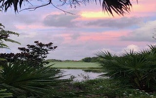 Hampton Hall Real Estate,hampton hall,hampton hall homes for sale,hampton hall homes,hampton hall homes sold,hampton hall bluffton,hampton hall bluffton sc,real estate hampton hall,homes for sale hampton hall,normandy circle bluffton hampton hall,circle bluffton hampton hall boulevard,hampton hall hoa fees,hampton hall zillow,hampton hall sc zillow,hampton hall bluffton sc zillow,zillow hampton hall bluffton,hampton hall poa fees,hampton hall poa,hampton hall hoa,hampton hall hoa bluffton sc,bluffton hampton hall boulevard,hampton hall sc homes for sale,hampton hall real estate for sale,hampton hall listings,hampton hall real estate listings,hampton hall golf cottages for sale,hampton hall sc real estate,hanpton hall bluffton,hampton hall bluffton sc homes for sale,hampton hall membership fees,hampton hall sc,farnsleigh avenue bluffton normandy,bluffton sc hampton hall,hampton hall houses for sale,hampton hall house,hampton hall homes for sale bluffton,hampton hall club homes for sale,hampton hall homes for sale zillow,hampton hall stately homes,hampton hall carriage homes bluffton sc,hampton hall sc houses for sale,hampton hall real estate zillow,hampton hall real estate bluffton,hampton hall club real estate,hampton hall bluffton sc real estate for sale,bluffton real estate,hampton hall real estate agent,real estate agent,real estate,bluffton homes for sale,bluffton homes,bluffton houses for sale,bluffton gated communities,bluffton gated golf communities,best gated communities in bluffton sc,bluffton golf communities,bluffton realty,bluffton real estate agnet,real estate agents near me,realtor