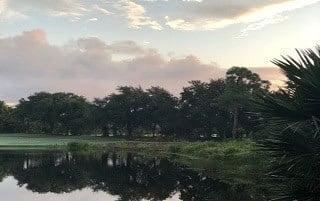 palmetto bluff homes for sale, palmetto bluff houses for sale, homes for sale in palmetto bluff sc, palmetto homes for sale, houses for sale palmetto bluff sc, palmetto bluff realty, palmetto homes, palmetto bluff sc real estate, palmetto bluff bluffton sc homes for sale, palmetto houses,palmetto paradise south carolina house for sale